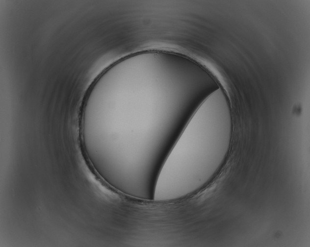 X0000094070999200710190952