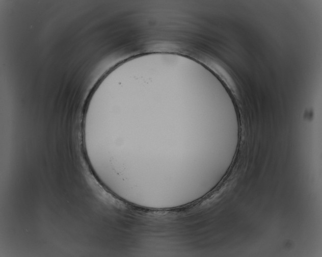 X0000094071000200710190952