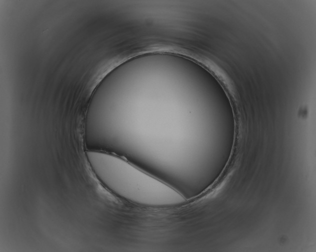 X0000094071001200710190951