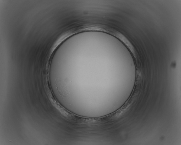 X0000094071002200710190951