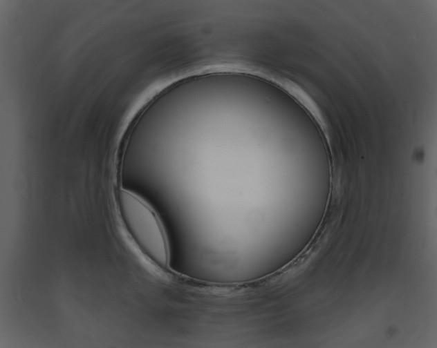 X0000094071005200710190951