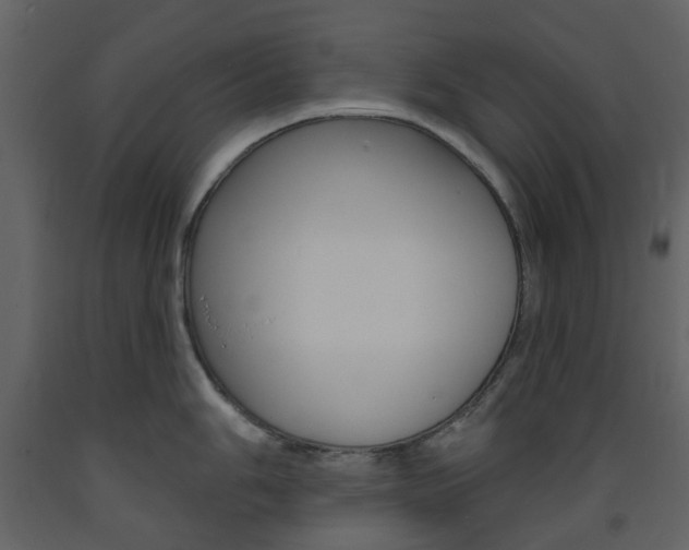 X0000094071006200710190951