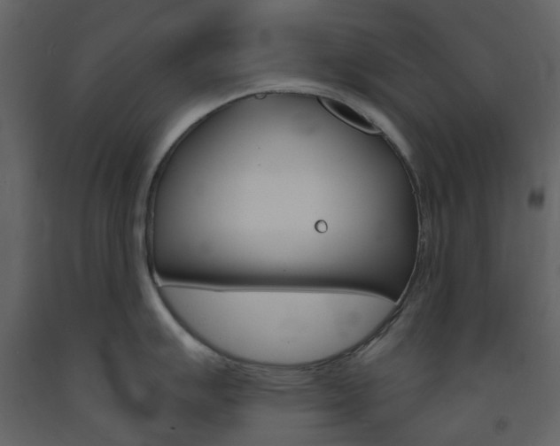 X0000094071007200710190951