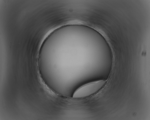 X0000094071008200710190951
