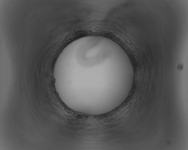 X0000094071009200710190951
