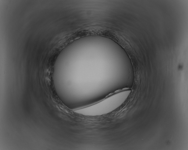 X0000094071010200710190951