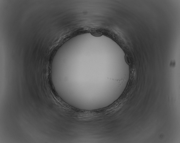 X0000094071012200710190951