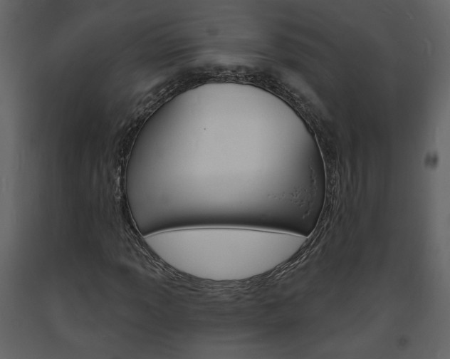 X0000094071013200710190951