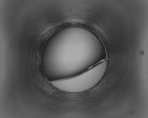 X0000094071014200710190951