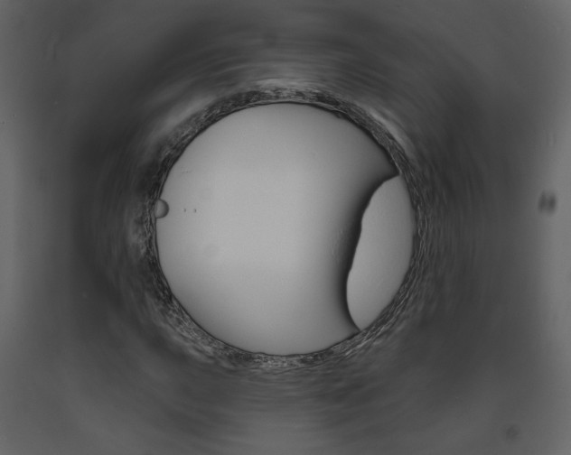 X0000094071015200710190951
