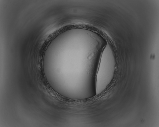 X0000094071016200710190951
