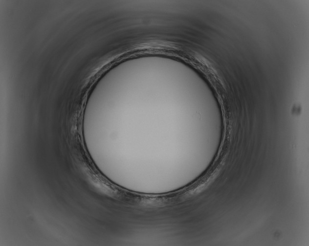 X0000094071017200710190951