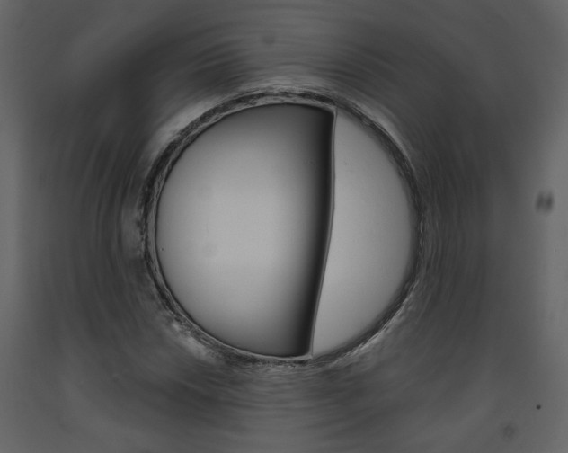 X0000094071018200710190951