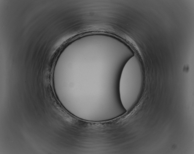 X0000094071019200710190951