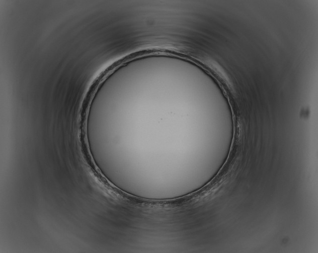 X0000094071020200710190951