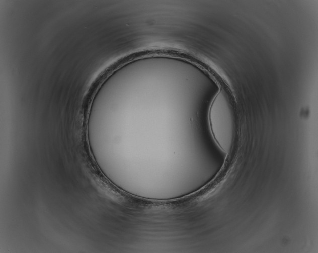X0000094071021200710190951