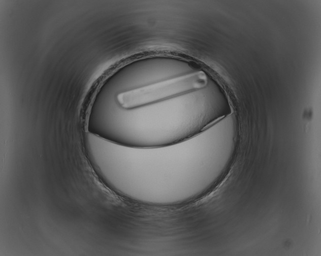 X0000094071022200710190951