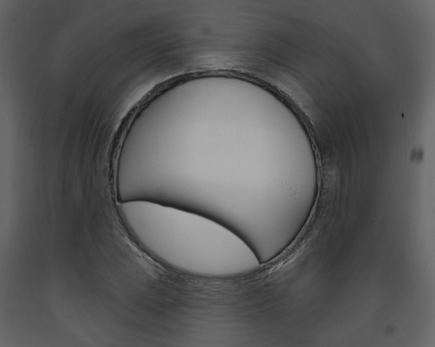 X0000094071023200710190951