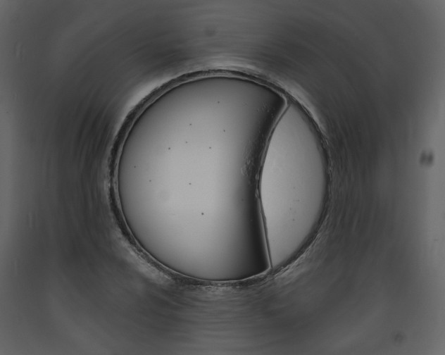 X0000094071024200710190951