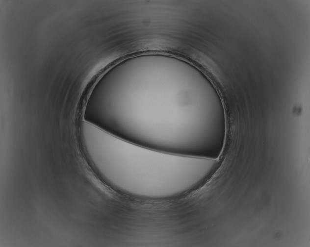 X0000094071026200710190951