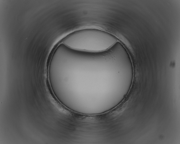X0000094071028200710190951