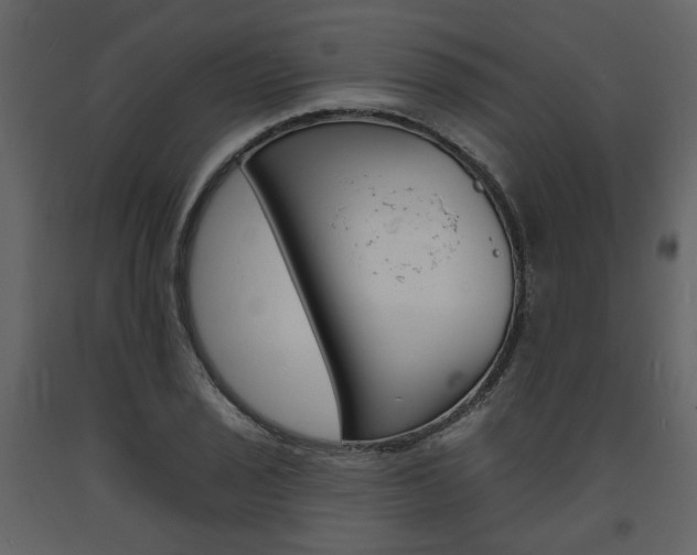X0000094071029200710190951