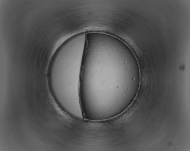 X0000094071030200710190951