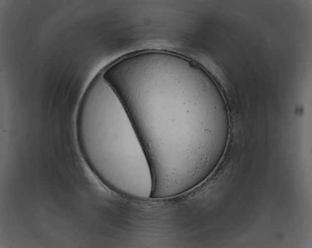 X0000094071032200710190951