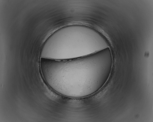 X0000094071033200710190951