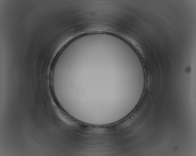 X0000094071039200710190951