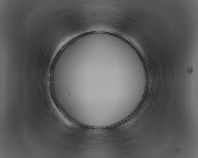 X0000094071040200710190951