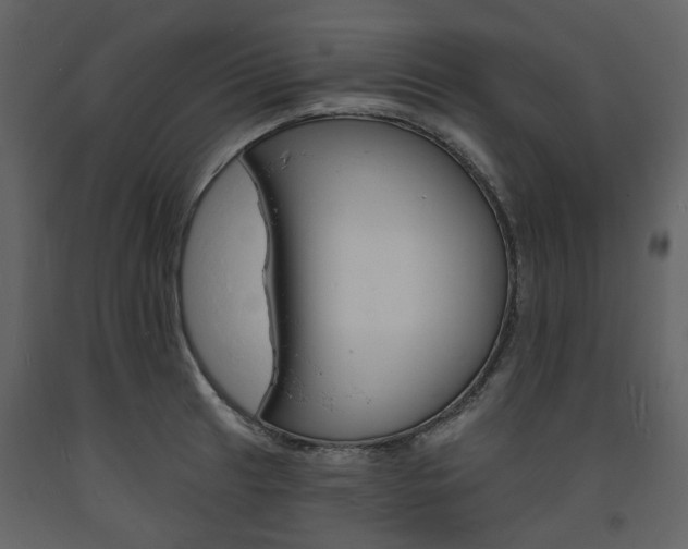 X0000094071041200710190951