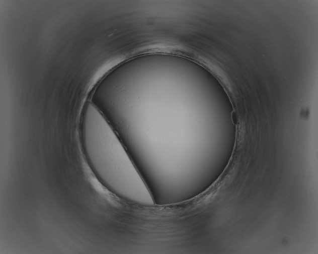X0000094071042200710190951