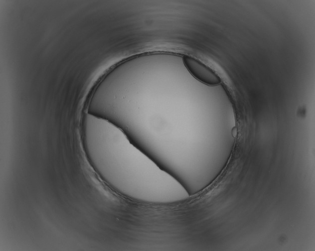 X0000094071043200710190951