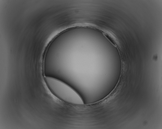 X0000094071046200710190951