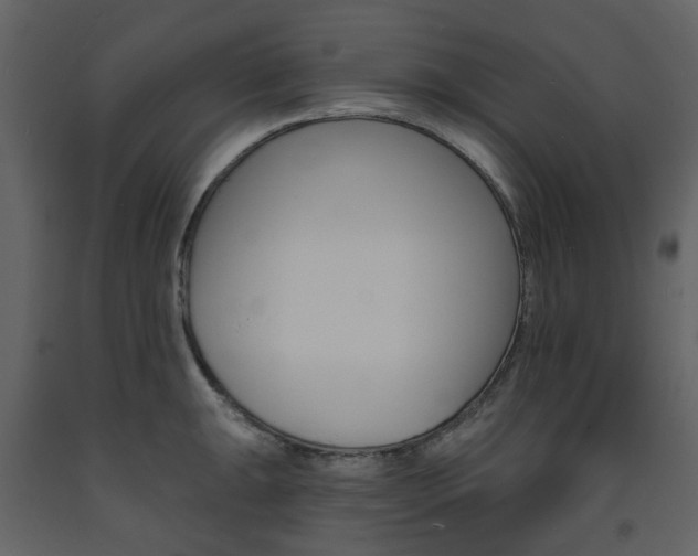 X0000094071047200710190951