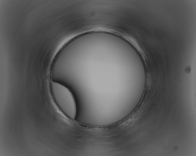 X0000094071048200710190951