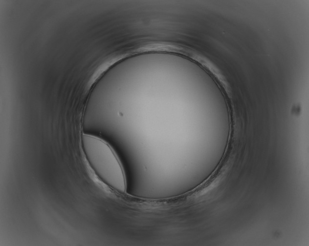 X0000094071049200710190951