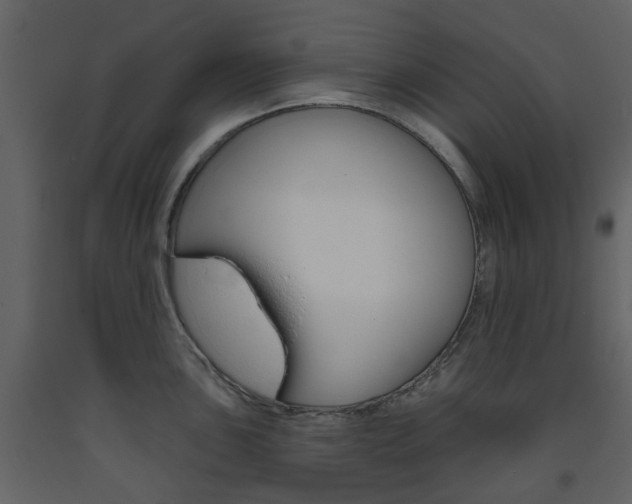 X0000094071051200710190951
