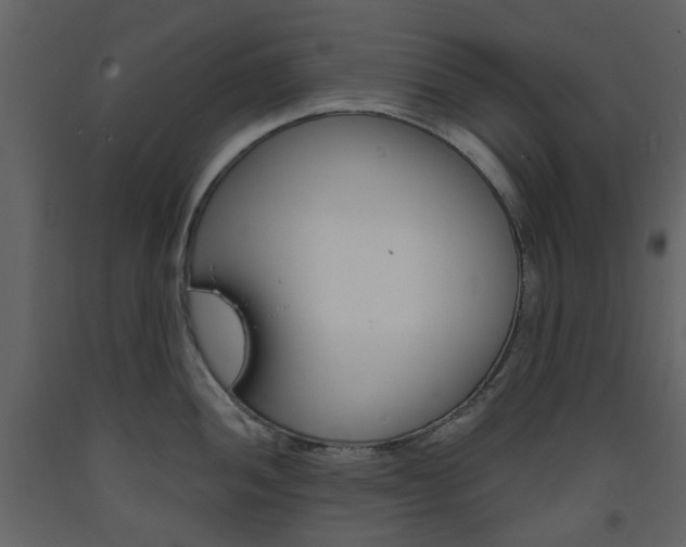 X0000094071052200710190951