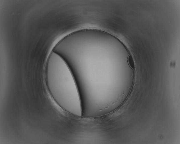 X0000094071056200710190951