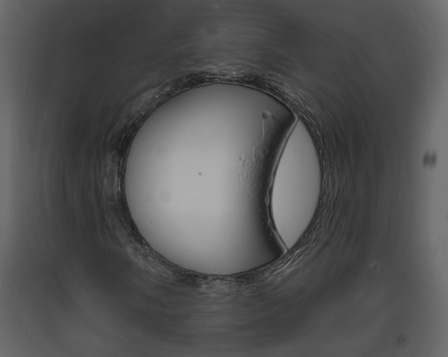 X0000094071058200710190951