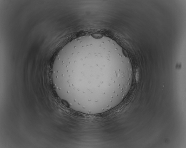 X0000094071059200710190951