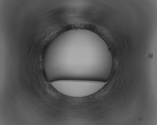 X0000094071060200710190951