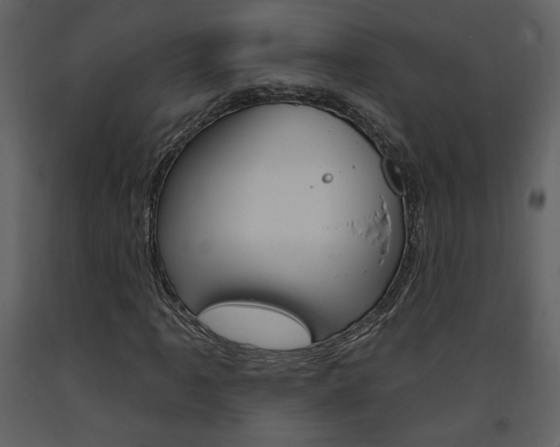 X0000094071061200710190951