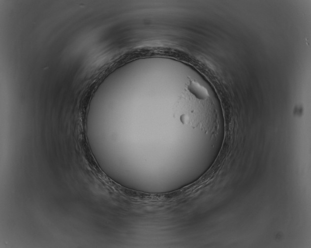 X0000094071062200710190951
