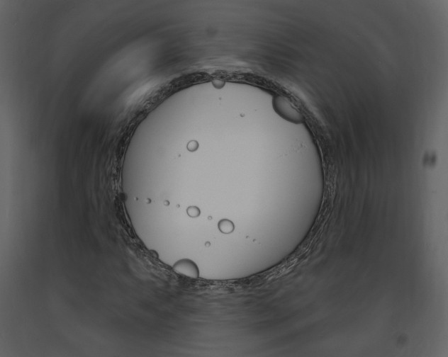 X0000094071063200710190951