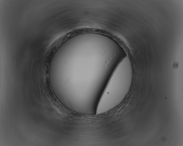 X0000094071064200710190951