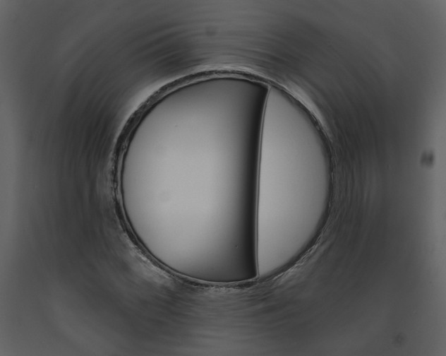 X0000094071068200710190951