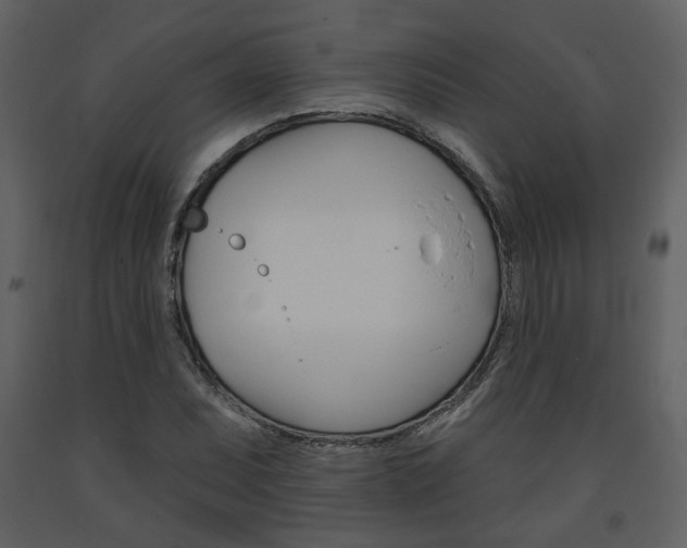 X0000094071071200710190951